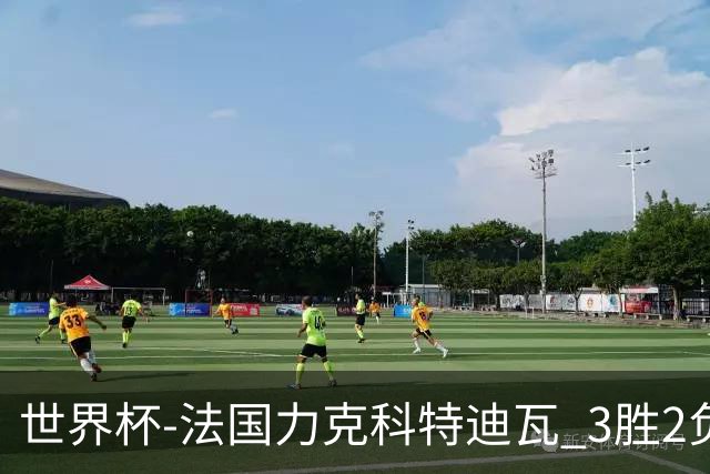 世界杯-法国力克科特迪瓦 3胜2负告别世界杯