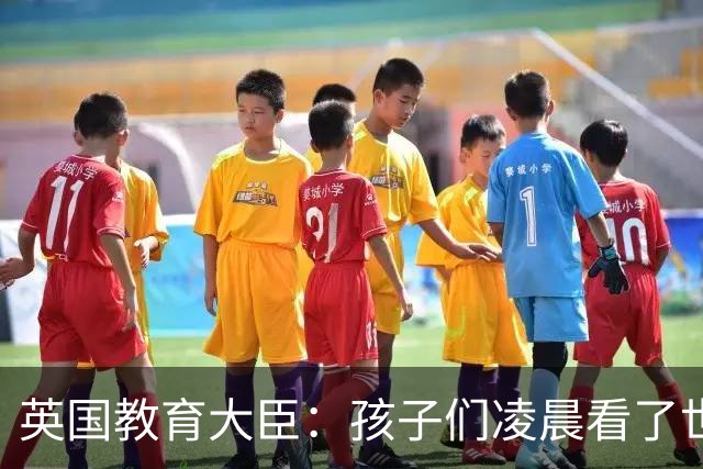 英国教育大臣：孩子们凌晨看了世界杯比赛，第二天依然可以上学